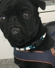 Rechtsberatung, Versicherungsberater, Unternehmensberater, Datenschutz Bild 8