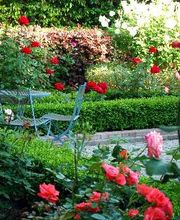 Maendly-Paysagiste Sàrl Bild 5