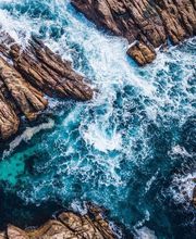 Lestang Schlegel Marie-Odile image 6