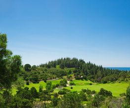 Black Iron Golf imagen 7