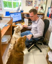 ClinicVet Vétérinaire Blangy-sur-Bresle image 2