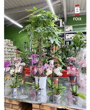 Bricomarché Foix image 7