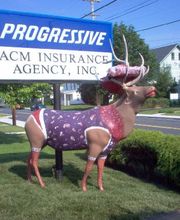 ACM Insurance Agency, Inc. image 1