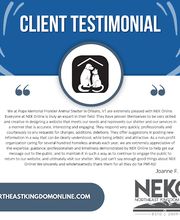 Northeast Kingdom Online - Vermont Web Design and Marketing image 16
