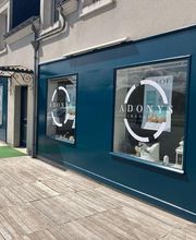 Adonys Institut image 1