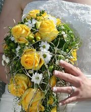 Blumen Krippner Bild 8