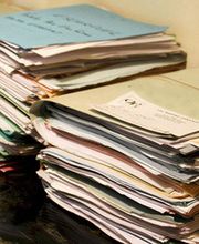 Bellagamba Virginie image 1