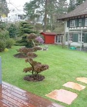 baumgartner gärtnerei Bild 2