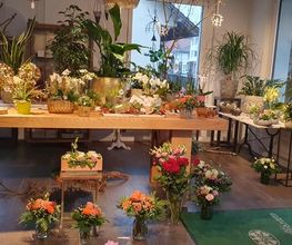 Blumen und Pflanzen Bild 4