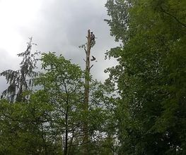 Acrobatic image 15