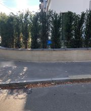 Team Schaad AG Bild 8