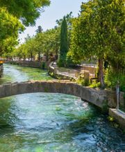 Studio Photo 84 image 15