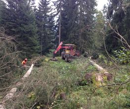 Entreprise forestière Sauser SA Bild 7