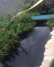 SJ-Vermittlungsservice Bild 10