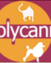 foto_solycann_6.png