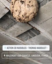 Action 3D Nuisibles image 6