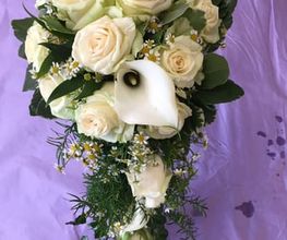 Blumen Sebastian Stransky Bild 10