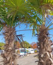 Evasion Caravanes Bild 5