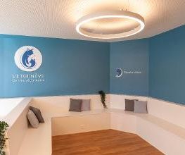 VetGenève - Clinique vétérinaire Bild 11