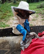 Béarn Nuisibles image 3