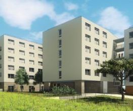 Triade image 4