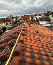 PBM Carvalho image 4