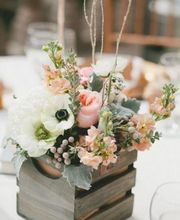 Il Etait Une Fleur image 5