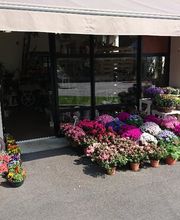 Fleurs et Bois image 5