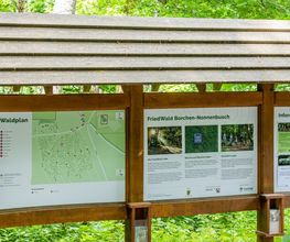 Die Infotafel am Parkplatz erklärt die FriedWald-Idee und der Waldplan gibt einen Überblick über den Wald.