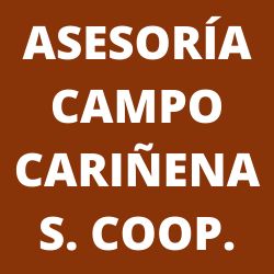 asesoria-campo-carinena-logo.png