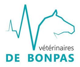 Vétérinaires De Bonpas image 6