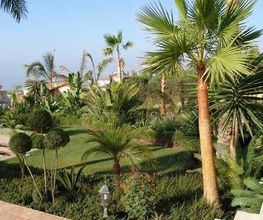 Fantastic Gardens imagen 8