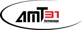 AMT31