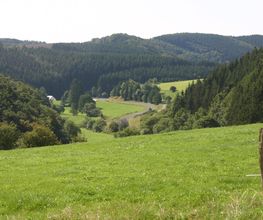 Ferienhof Begon Bild 1
