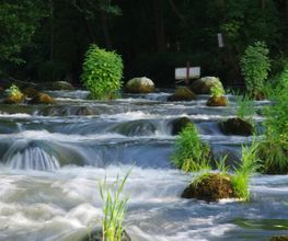 Naturdorf Eickhof Bild 8