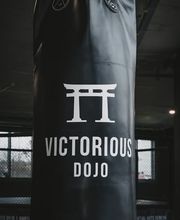 Victorious Dojo Bild 3