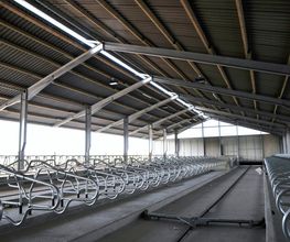 Stahlbetonbau