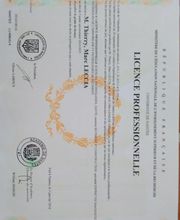 Thierry Leccia Expertise plus image 2