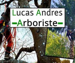 Lucas Andres Arboriste image 1