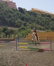 Escuela Hípica los Nogales imagen 5