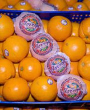 foto2.jpg