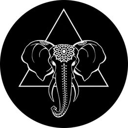 Ivory Tattoo Wiesbaden UG (haftungsbeschränkt)