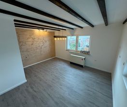 Joca Renovierung Bild 5