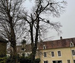 Idées jardins image 4