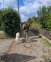 Hundeschule München-Nord
