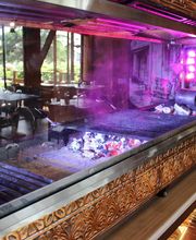 ETVET Steakhouse Brasserie image 1