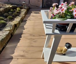 WPC Terrassendielen Typ Dynuium
