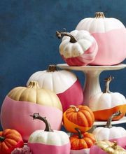 Préau Guilloteau Virginie image 2