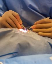 Nicholas Rutkowski OD and Associates image 17