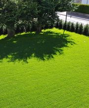 Scheuner Gartenbau AG Bild 1